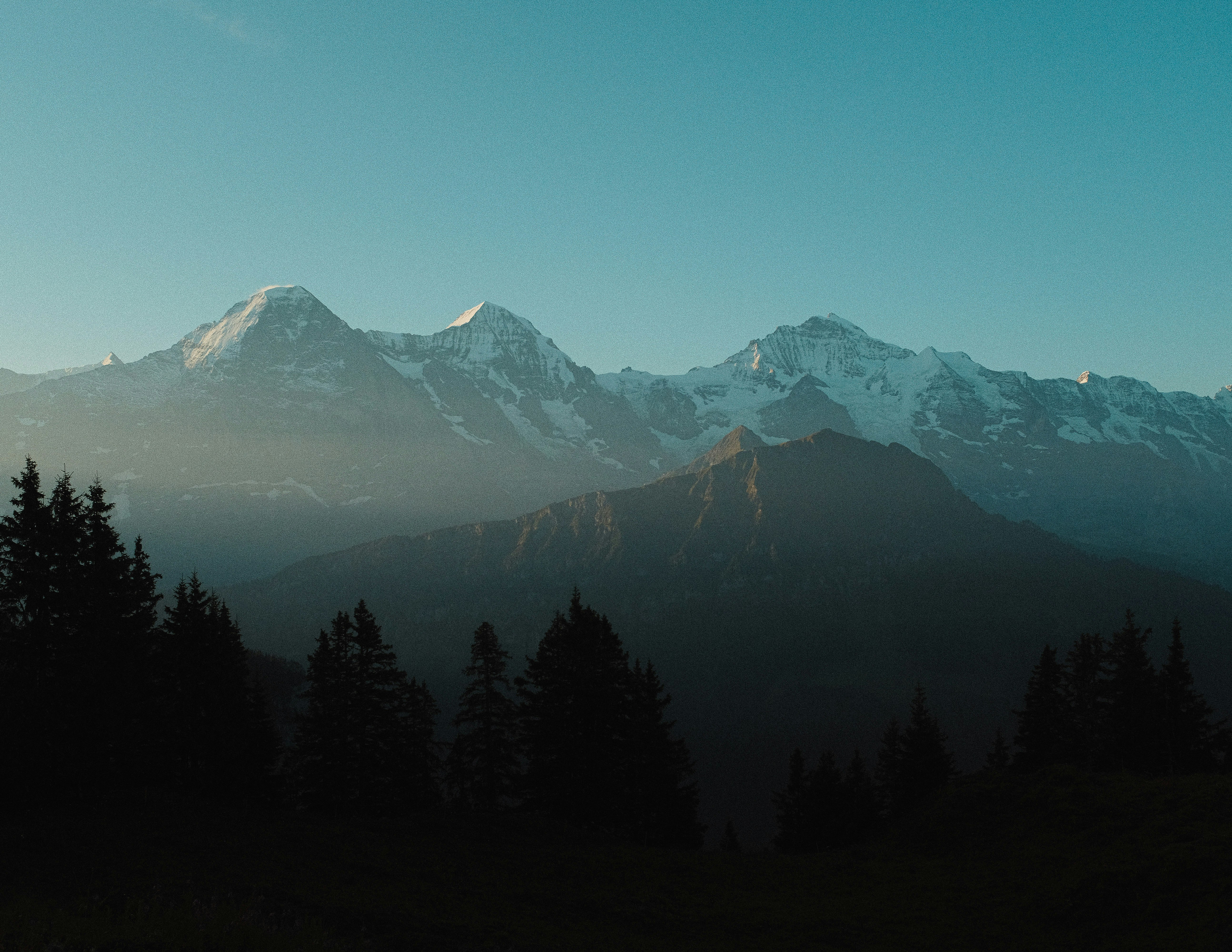 green trees near mountain under blue sky during daytime